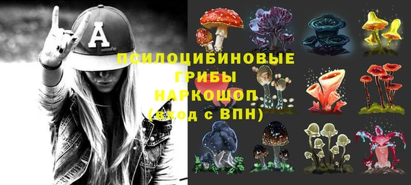 стаф Красавино