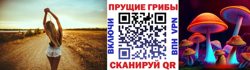 Галлюциногенные грибы Psilocybe  Пермь 
